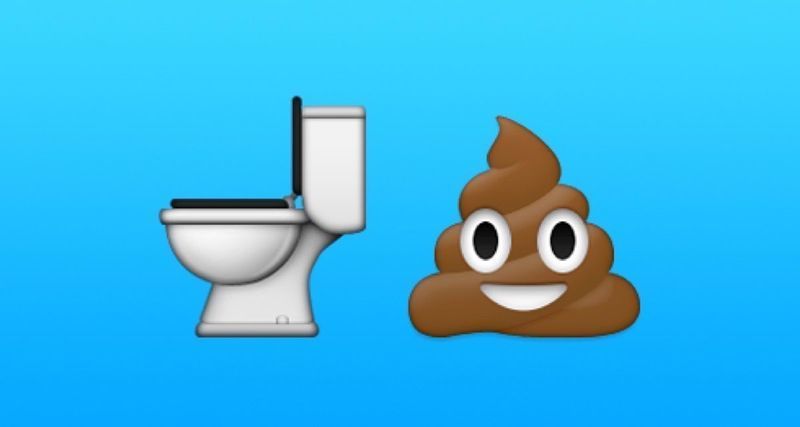 ¿Has llegado a atascar alguna vez el inodoro?