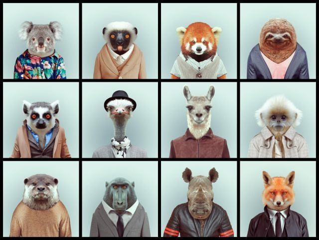 9221 - ¿Qué animal eres?