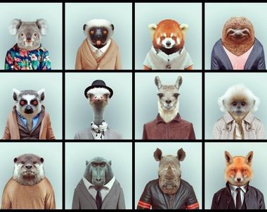 9221 - ¿Qué animal eres?