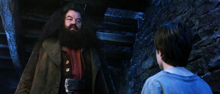 ¿Qué día recibe Harry la visita de Hagrid y descubre que es mago?