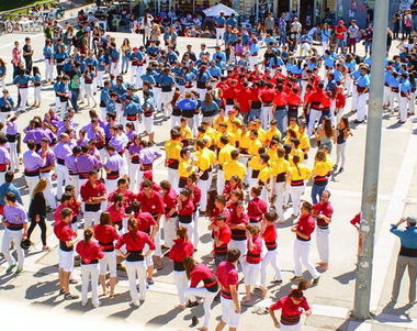 9098 - Escudos de Collas Castelleras Universitarias. ¿Los reconoces todos?