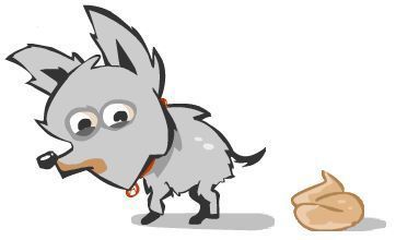 ¿Cuántas veces haces caca al día?