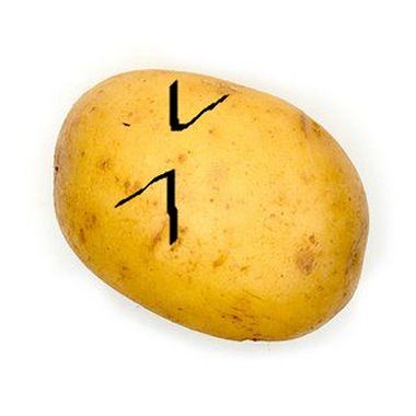 8457 - ¿Eres una Patata?