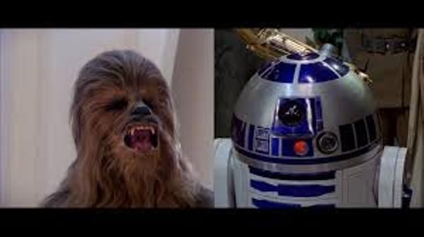 Los fieles acompañantes: ¿droide o wookie?