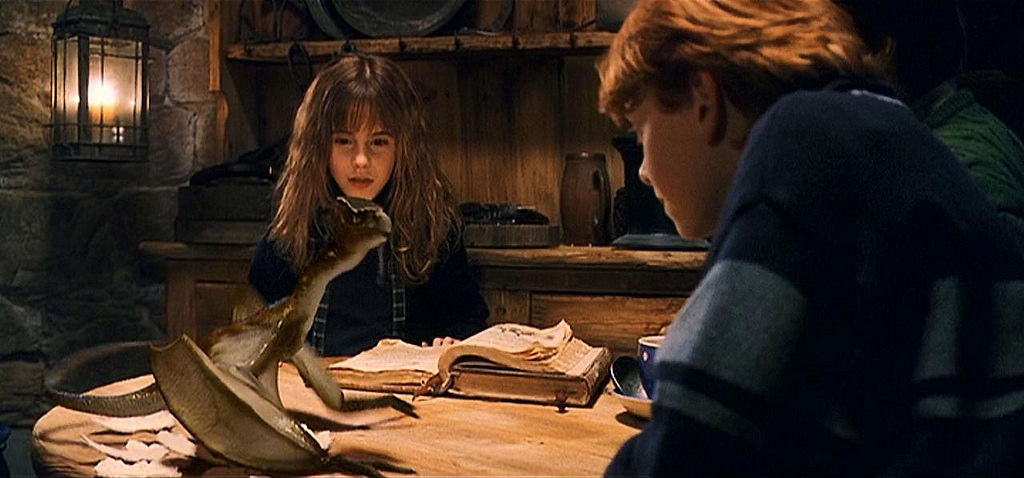 ¿Qué tipo de dragón es Norberto?