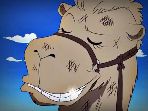 ¿Qué opinas de Matsuge?