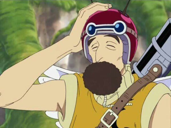 ¿Qué opinas de Pagaya?