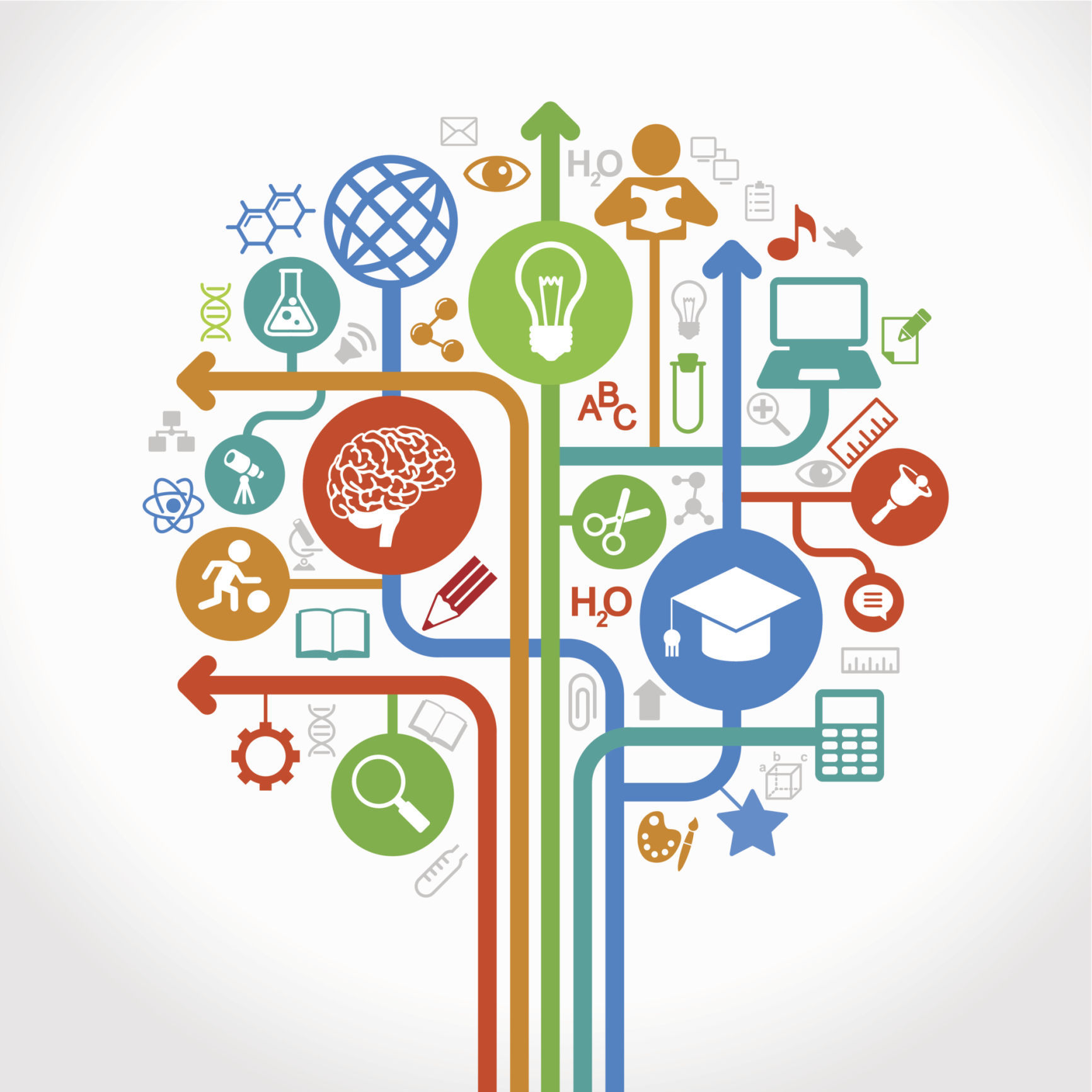 ¿Cómo debería ser la ley de educación?