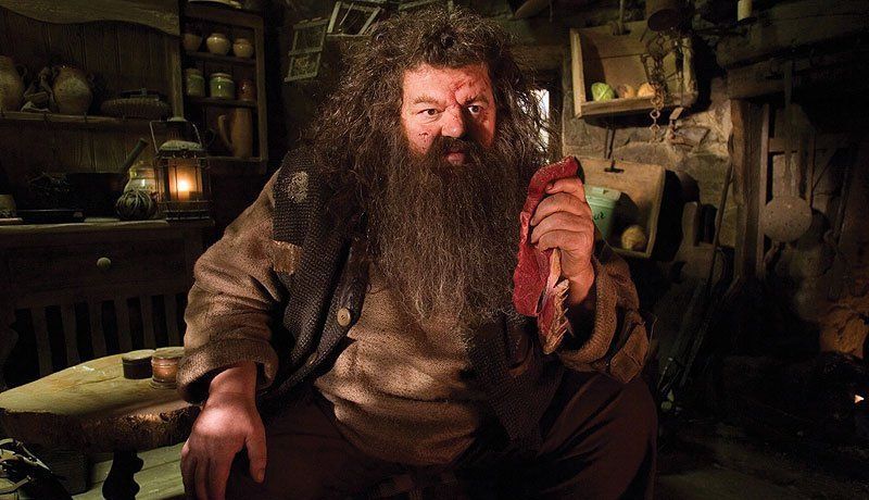 CS ¿Porqué Hagrid fué expulsado de Hogwarts?