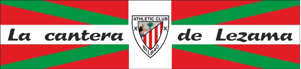 ¿Cómo prefieres que esté compuesto tu equipo?