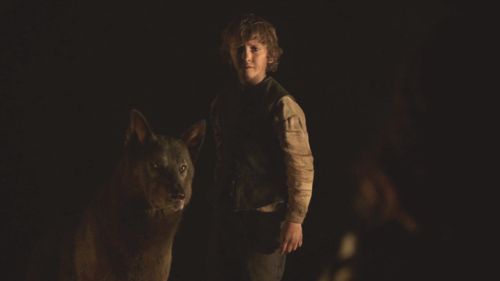El lobo huargo de Rickon es...