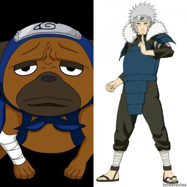 Pakkun vs Tobirama Senju