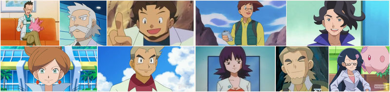 Qué profesores o doctores pokemon  de los no villanos es tu favorito?
