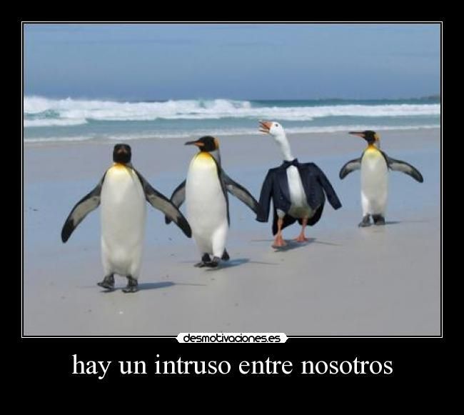 ¿Quién de estos no cumple los requisitos de los otros 3?