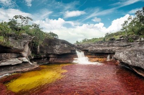 Caño cristales es conciderado como el río más bonito del mundo: ¿En qué lugar de Colombia se encuentra este hermoso río?