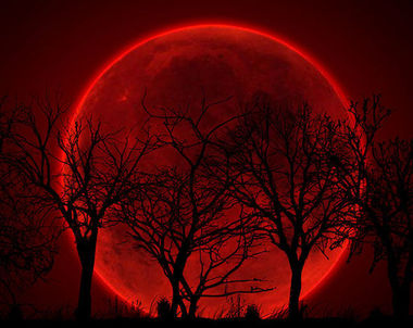 13685 - ¿Te atreves a hacer esta encuesta? ¿Seguro? Te aviso que una vez que empieces no hay vuelta atrás...