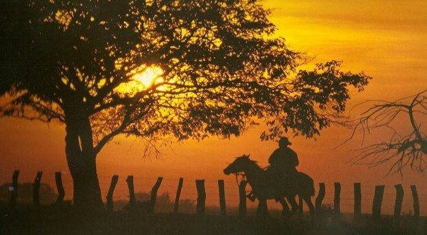 ¿Cuál es el deporte principal de la cultura llanera?