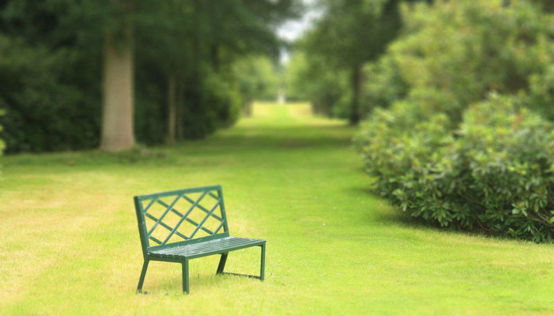 ¿Que nadie acuda a tu boda o que nadie vaya a tu funeral?