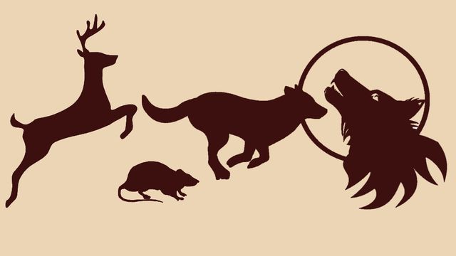 ¿Por qué los merodeadores deciden ser animagos?