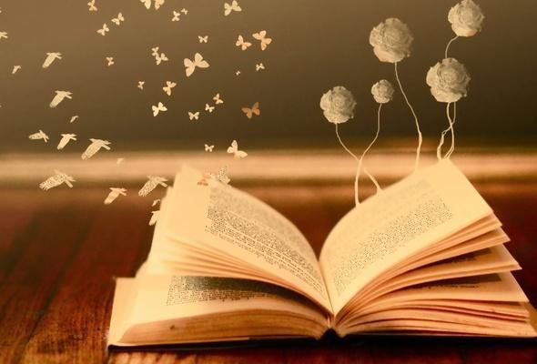 ¿Cuáles eran/son tus notas en lengua castellana?