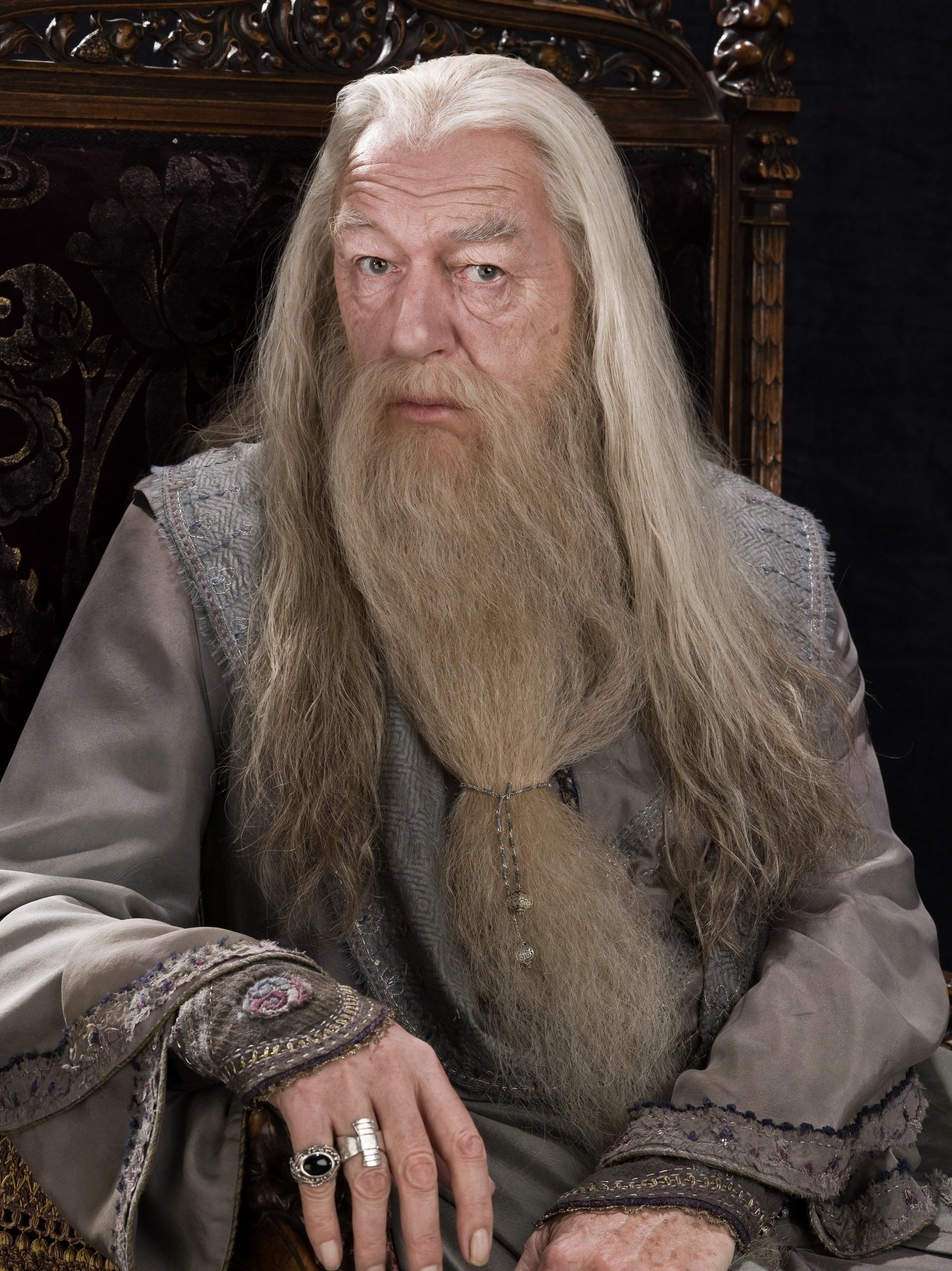 ¿Qué enseñaba Albus Dumbledore antes de ser director de Hogwarts?