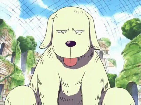 ¿Qué opinas de Holy (mascota de Ohm)?