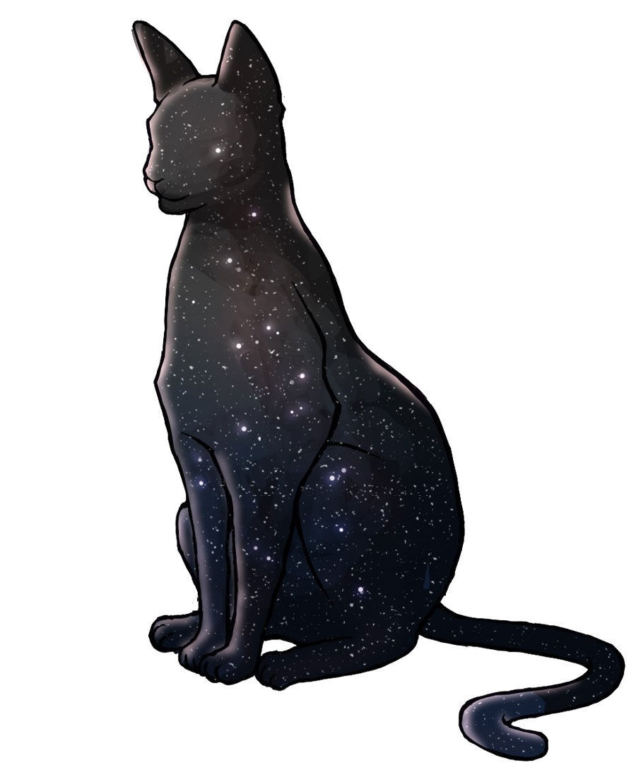 ¿Cómo llama ella a su gato?