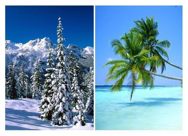 ¿Clima Frío o Caluroso?