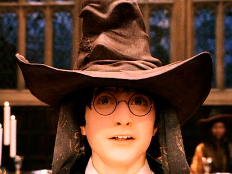 ¿En qué año presencia Harry por primera vez una ceremonia de selección? ( Sin contar con la suya)