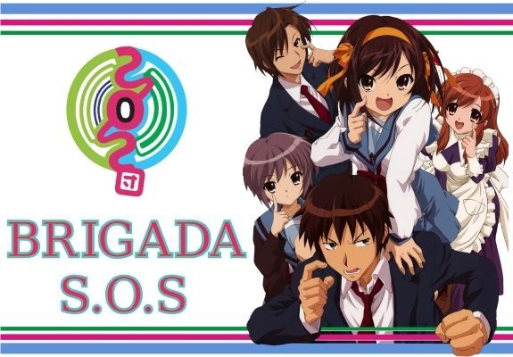 Según su significado traducido, ¿Cual es el objetivo de la SOS?