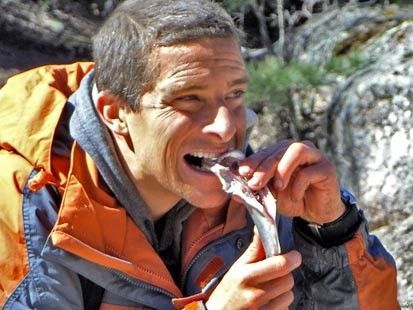 1964 - Si fueras Bear Grylls ¿Qué escogerías comer de estos manjares?