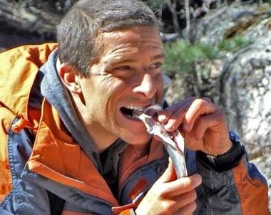 1964 - Si fueras Bear Grylls ¿Qué escogerías comer de estos manjares?