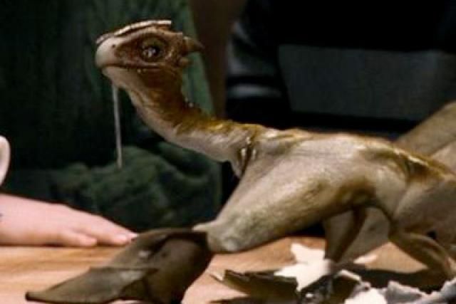 ¿Qué nombre le puso Hagrid al dragón que nació del huevo que consiguió?