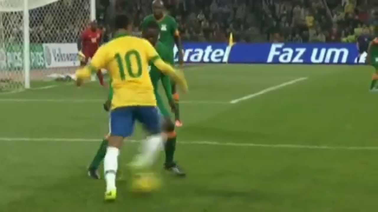 especialista en elasaticas