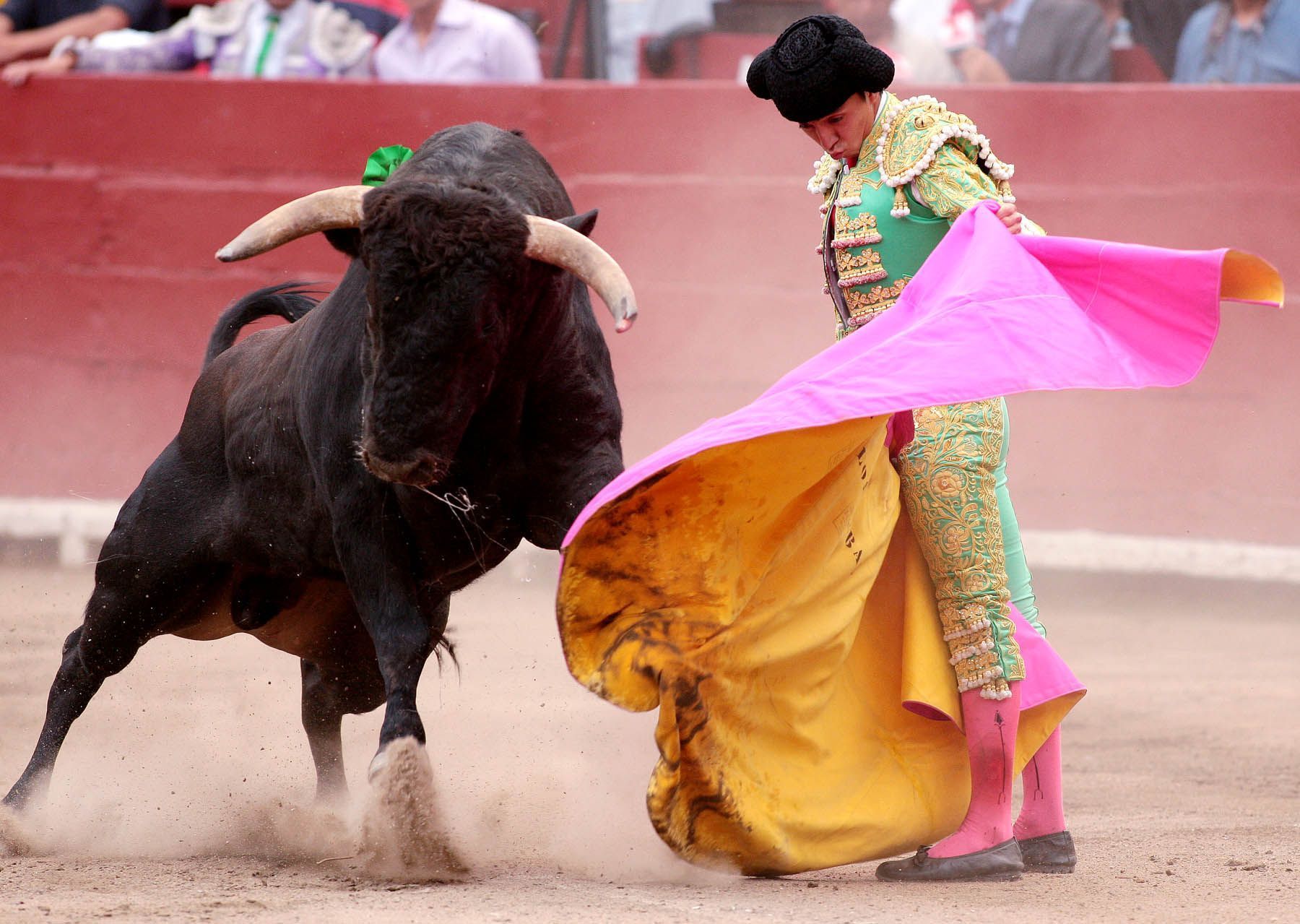 ¿estás de acuedo con las corridas de toros?