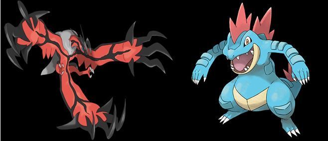 Yveltal vs Feraligatr
