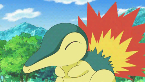¿Cuales son las evoluciones de Cyndaquil ?