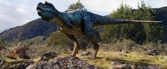 4625 - ¿Sabrías identificar a estos dinosaurios?