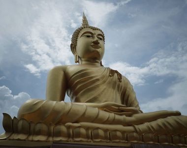 1422 - Cuando mueras ¿en que animal te reencarnarás?