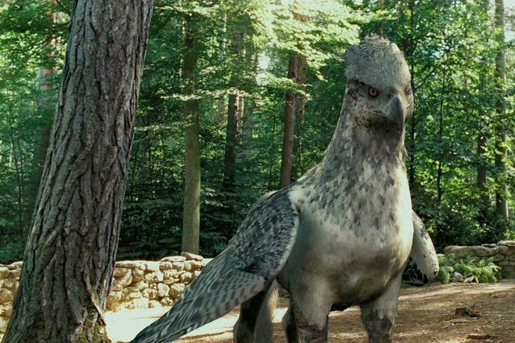 ¿Cuál es tu criatura favorita?