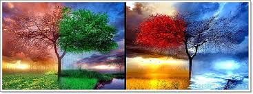 ¿Cuál es tu estación del año favorita?