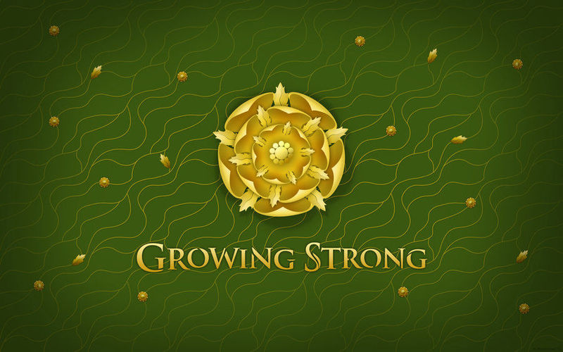 ¿El escudo de qué familia es una rosa?