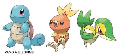 ¿Snivy,Squirtle o Torchic?