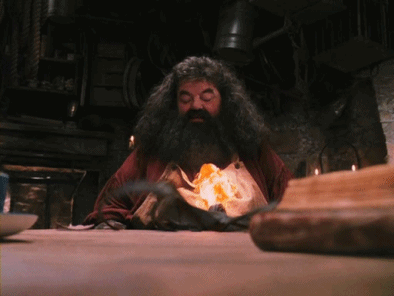 ¿Cuál es la raza de Norberto, el dragón que ganó Hagrid en una apuesta?