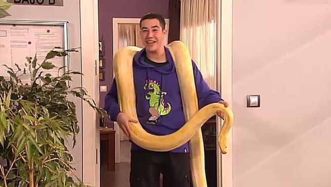 En el capitulo 5x6. ¿Como se llama la serpiente de Francisco Pastor?