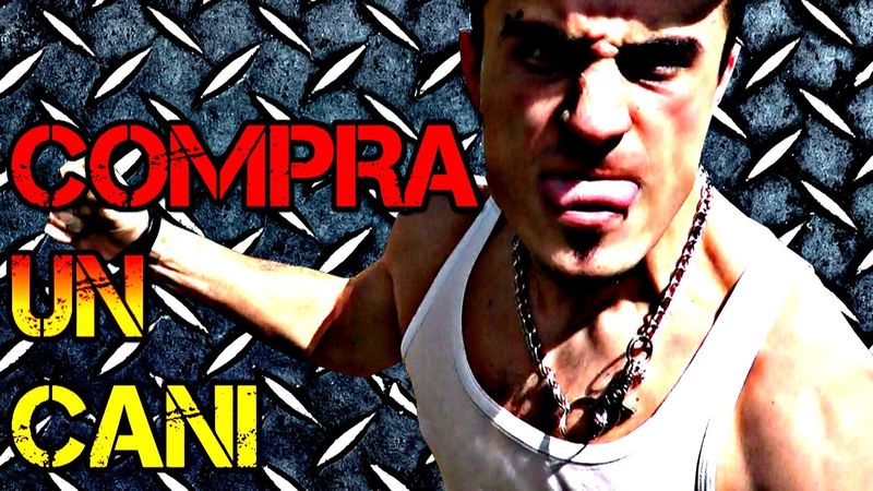 Que no falte de youtubers