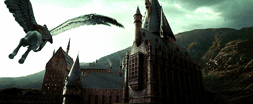 ¿Cuál es tu asignatura de Hogwarts favorita?