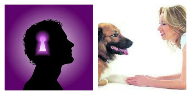 Qué preferirías poder hablar con los animales o poder leer mentes?