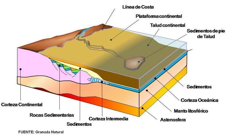 ¿Cuáles eran/son tus notas en geología?