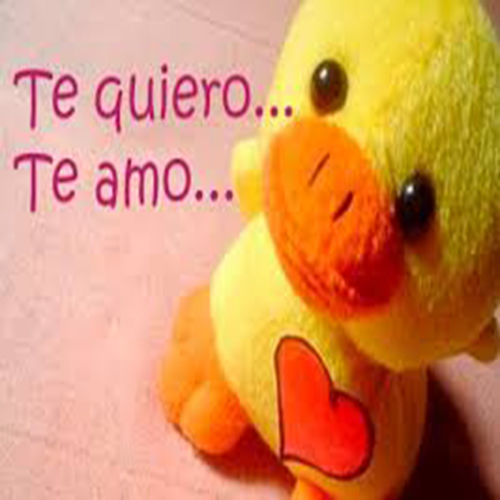 Te amo, eres el amor de mi vida, nunca te separes de mí, y sí, has chupado el mando.